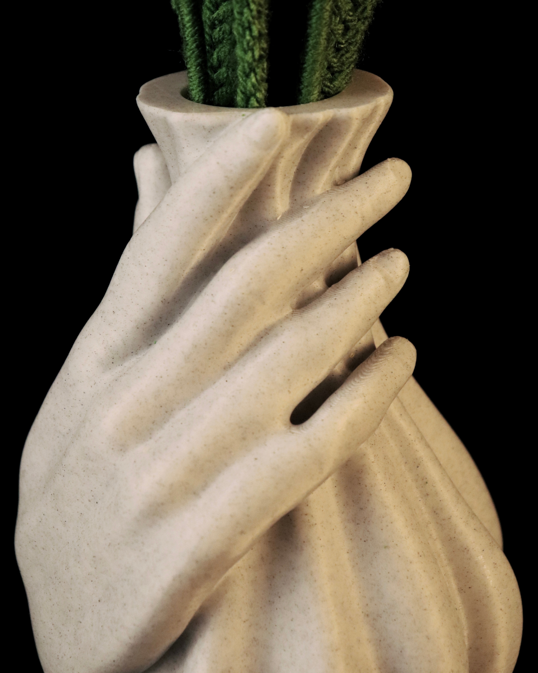 Protea